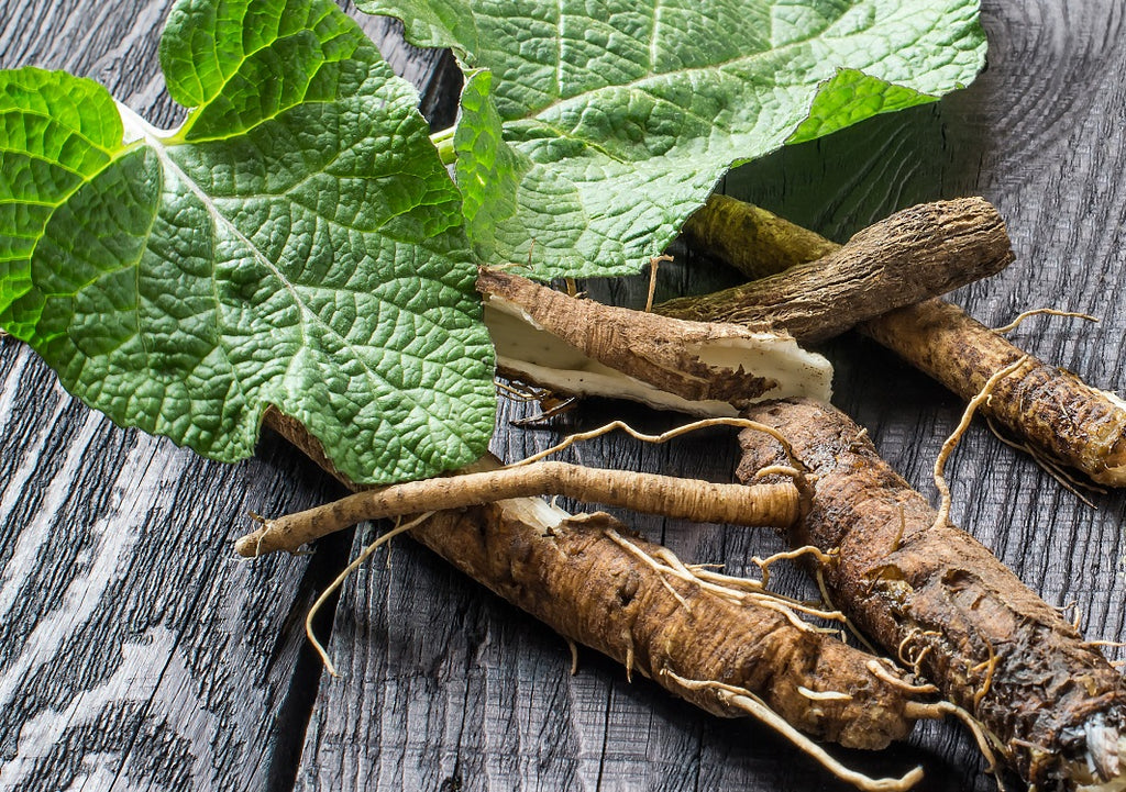 What are the benefits of Burdock Root?