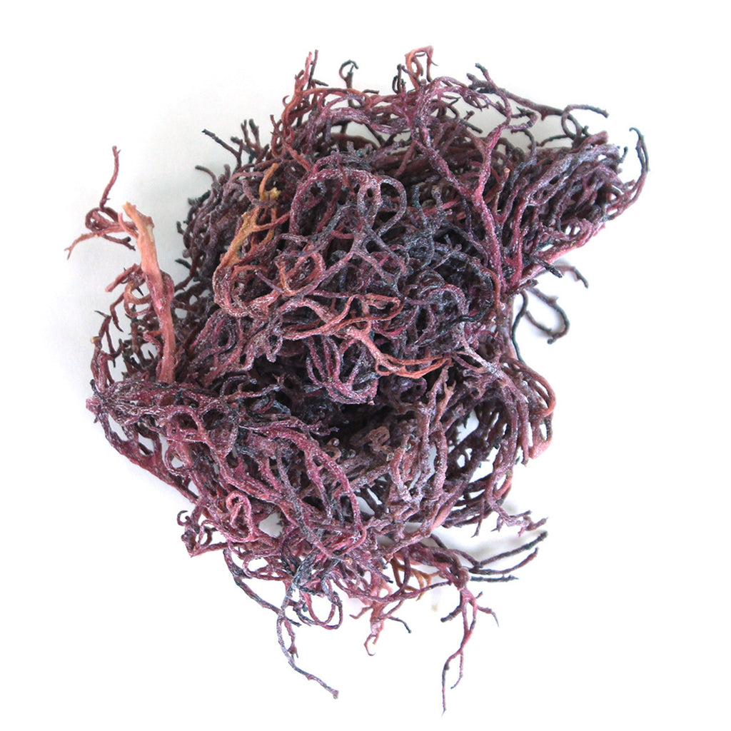 Why use Wildcrafted Purple Sea Moss?